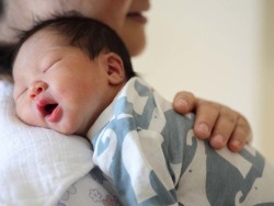 关于木棉医疗中心